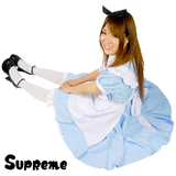 【全品90％オフ】animania レディース コスチューム 白雪姫 ロングドレ...